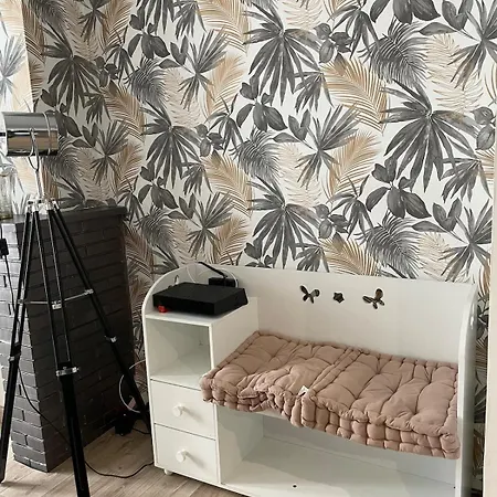 Apartamento 80m2 à Deux Pas Du Beffroi *
